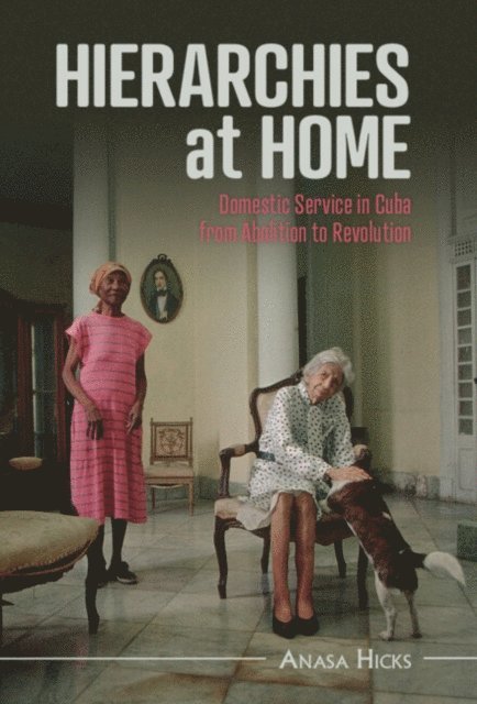 Anasa Hicks - Hierarchies at Home, E-bok