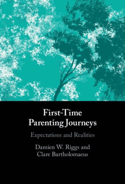Clare Bartholomaeus, Damien W. Riggs - First-Time Parenting Journeys, E-bok