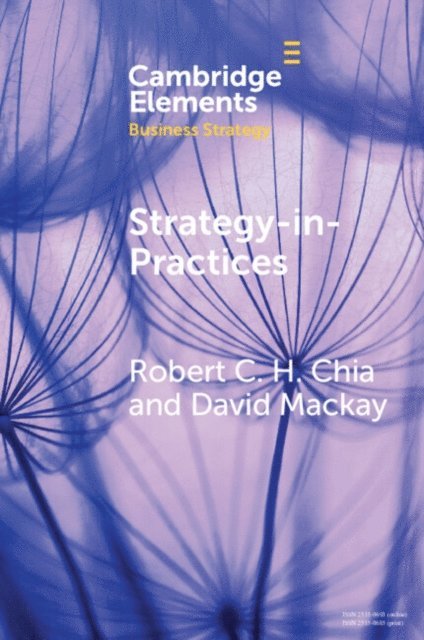 David Mackay, Robert C. H. Chia - Strategy-In-Practices, E-bok