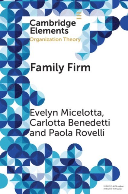 Paola Rovelli, Carlotta Benedetti, Evelyn Micelotta - Family Firm, E-bok