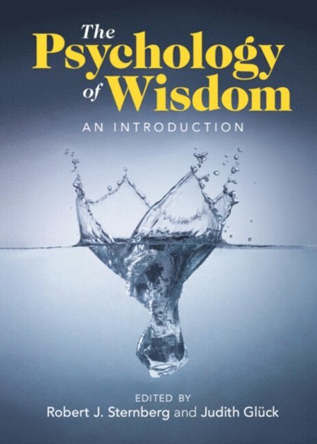Judith Gluck, Robert J. Sternberg - Psychology of Wisdom, E-bok