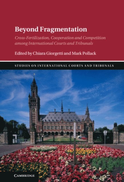 Mark Pollack, Chiara Giorgetti - Beyond Fragmentation, E-bok