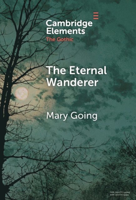 Mary Going - Eternal Wanderer, E-bok