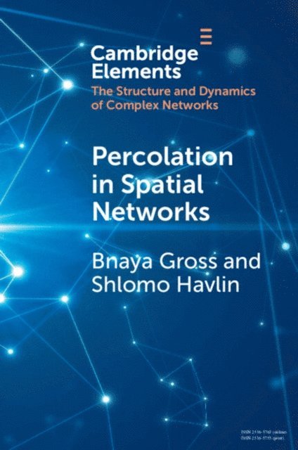 Shlomo Havlin, Bnaya Gross - Percolation in Spatial Networks, E-bok