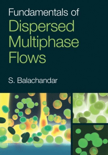 S. Balachandar - Fundamentals of Dispersed Multiphase Flows, E-bok