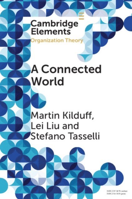 Stefano Tasselli, Lei Liu, Martin Kilduff - Connected World, E-bok