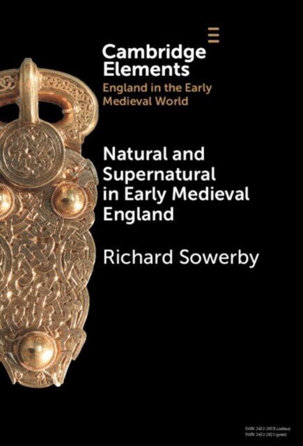 Richard Sowerby - Natural and Supernatural in Early Medieval England, E-bok