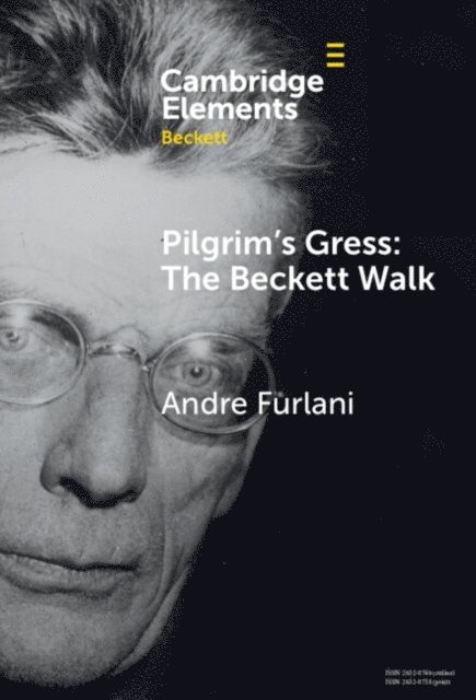 Andre Furlani - Pilgrim's Gress: The Beckett Walk, E-bok