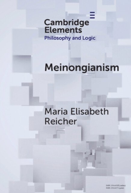 Maria Elisabeth Reicher - Meinongianism, E-bok