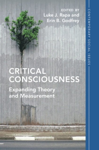 Erin B. Godfrey, Luke J. Rapa - Critical Consciousness, E-bok
