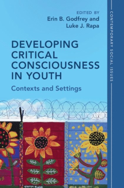Luke J. Rapa, Erin B. Godfrey - Developing Critical Consciousness in Youth, E-bok