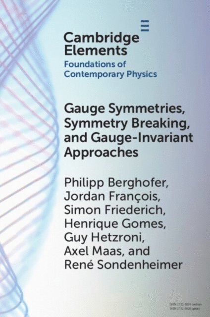 Rene Sondenheimer, Axel Maas, Guy Hetzroni, Henrique Gomes, Simon Friederich, Jordan Francois, Philipp Berghofer - Gauge Symmetries, Symmetry Breaking, and Gauge-Invariant Approaches, E-bok