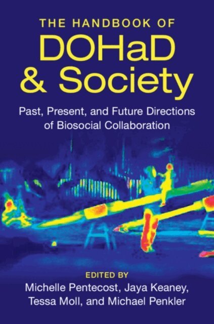 Michael Penkler, Tessa Moll, Jaya Keaney, Michelle Pentecost - Handbook of DOHaD and Society, E-bok