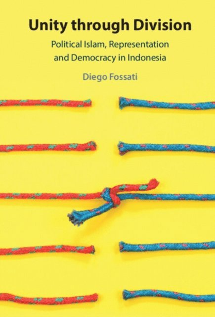 Diego Fossati - Unity through Division, E-bok
