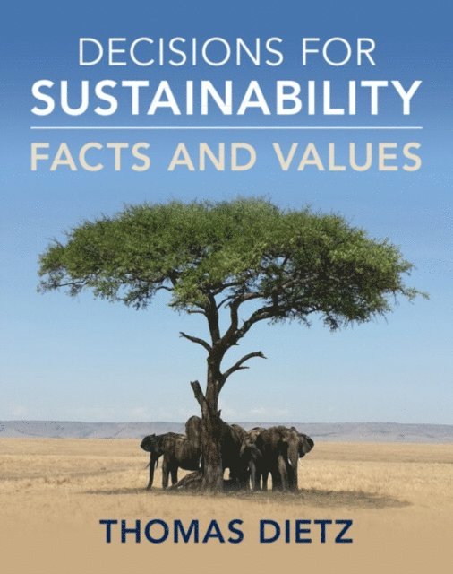 Thomas Dietz - Decisions for Sustainability, E-bok