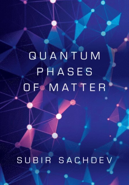 Subir Sachdev - Quantum Phases of Matter, E-bok