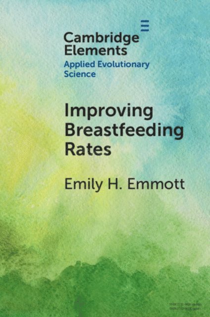Emily H. Emmott - Improving Breastfeeding Rates, E-bok