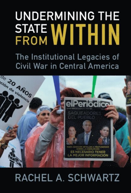 Rachel A. Schwartz - Undermining the State from Within, E-bok