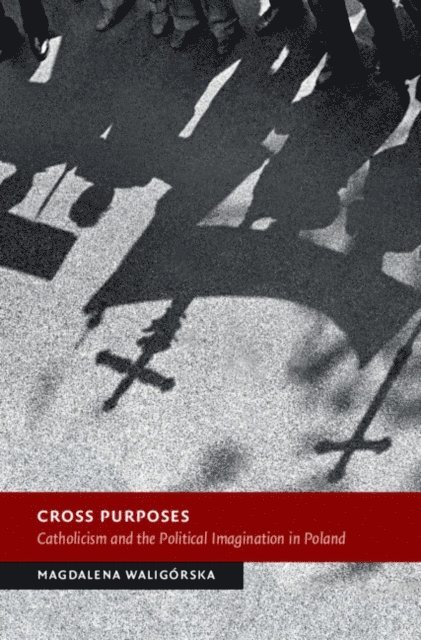 Magdalena Waligorska - Cross Purposes, E-bok