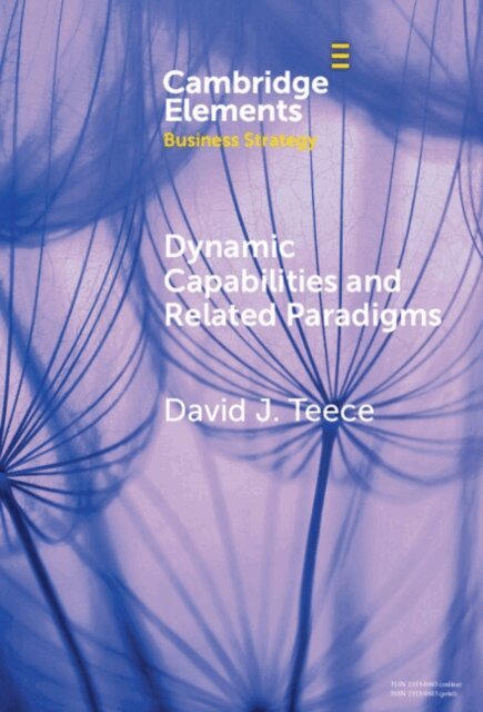 David J. Teece - Dynamic Capabilities and Related Paradigms, E-bok