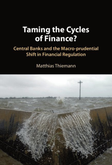 Matthias Thiemann - Taming the Cycles of Finance?, E-bok