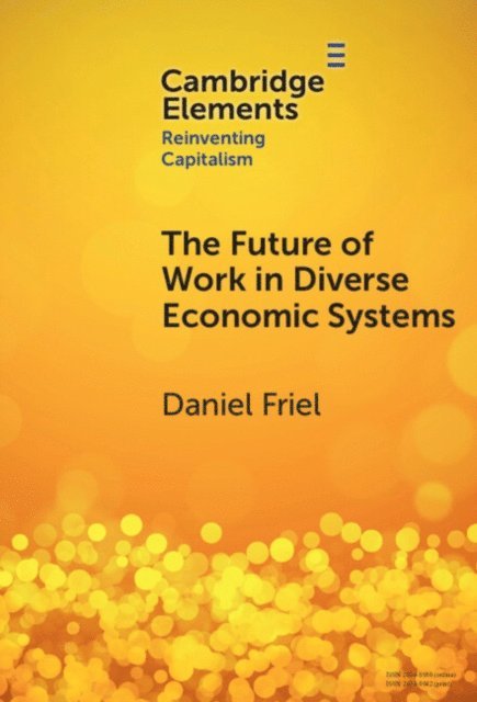 Daniel Friel - Future of Work in Diverse Economic Systems, E-bok