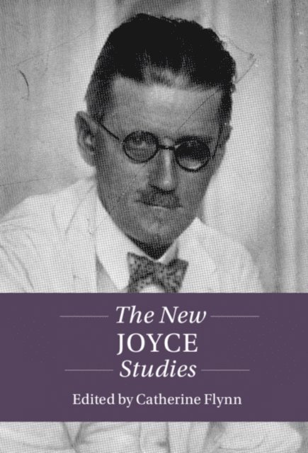 Catherine Flynn - New Joyce Studies, E-bok