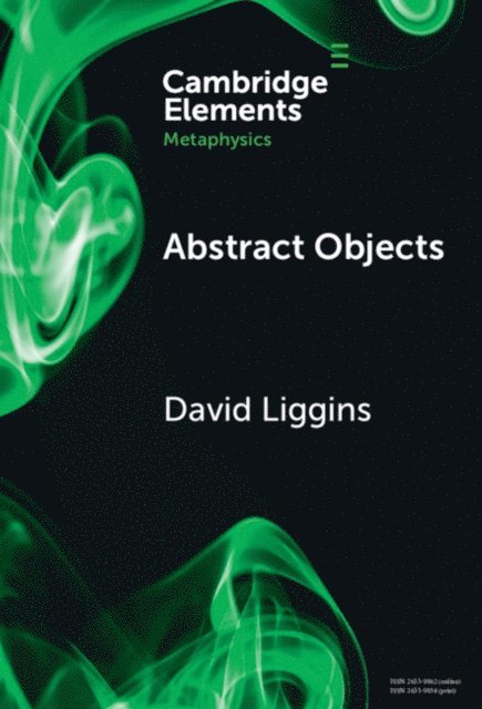 David Liggins - Abstract Objects, E-bok