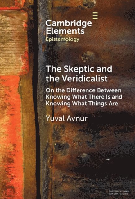 Yuval Avnur - Skeptic and the Veridicalist, E-bok
