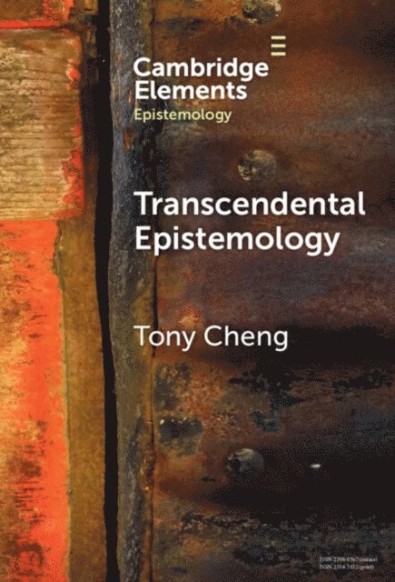 Tony Cheng - Transcendental Epistemology, E-bok