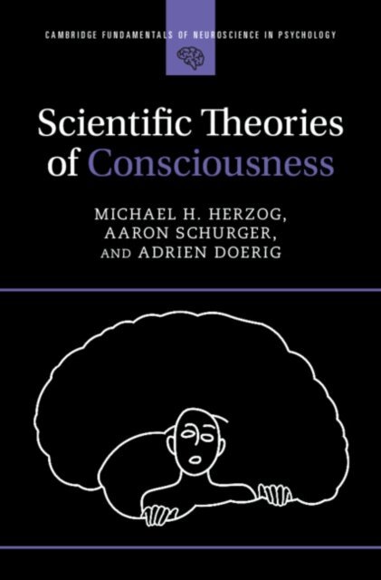 Adrien Doerig, Aaron Schurger, Michael H. Herzog - Scientific Theories of Consciousness, E-bok