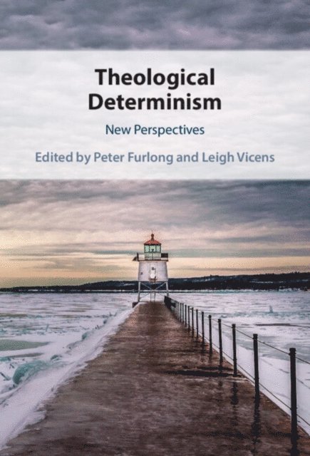 Leigh Vicens, Peter Furlong - Theological Determinism, E-bok