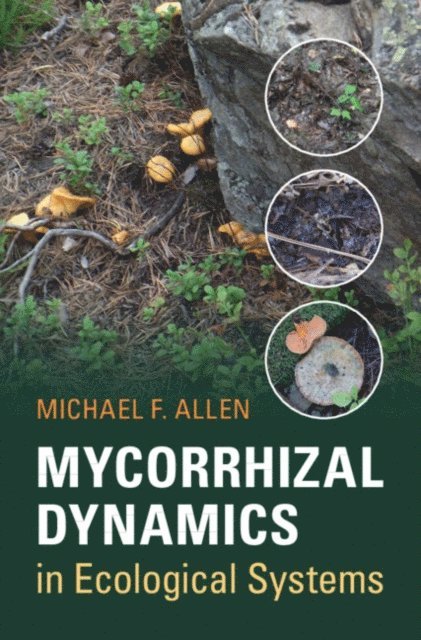 Michael F. Allen - Mycorrhizal Dynamics in Ecological Systems, E-bok