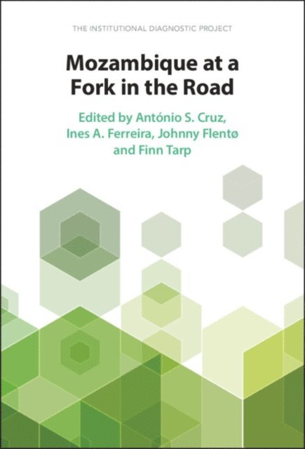 Finn Tarp, Johnny Flento, Ines A. Ferreira, Antonio S. Cruz - Mozambique at a Fork in the Road, E-bok