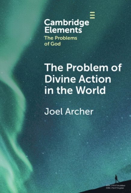 Joel Archer - Problem of Divine Action in the World, E-bok