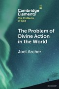 The Problem of Divine Action in the World