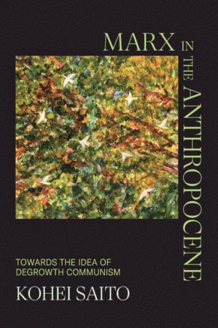Kohei Saito - Marx in the Anthropocene, E-bok
