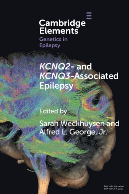 Jr Alfred L. George, Sarah Weckhuysen - KCNQ2- and KCNQ3-Associated Epilepsy, E-bok