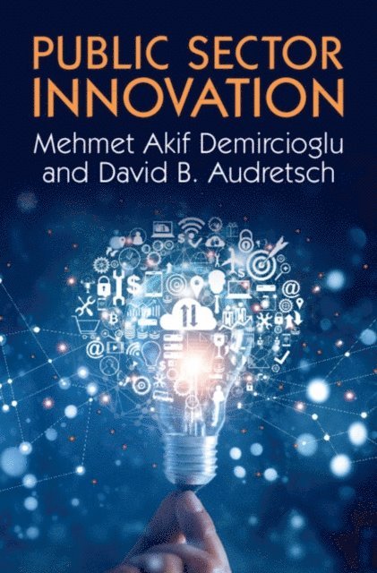 David B. Audretsch, Mehmet Akif Demircioglu - Public Sector Innovation, E-bok