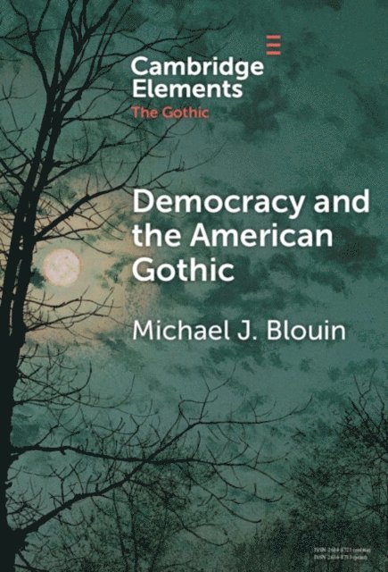 Michael J. Blouin - Democracy and the American Gothic, E-bok