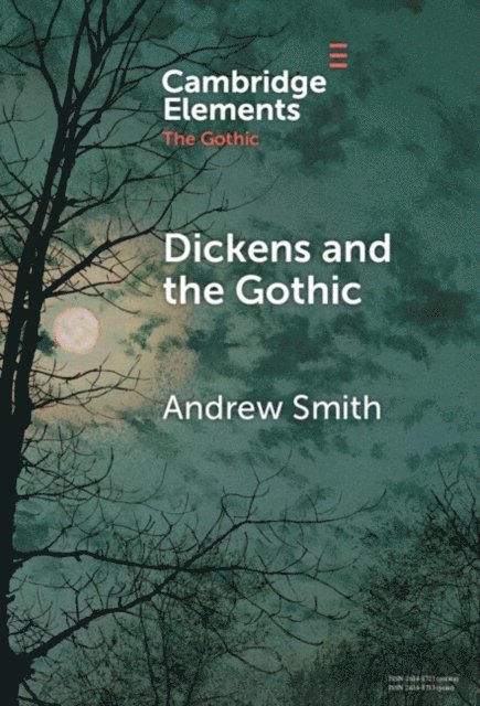 Andrew Smith - Dickens and the Gothic, E-bok