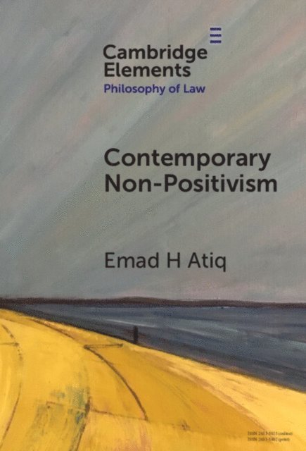 Emad H. Atiq - Contemporary Non-Positivism, E-bok