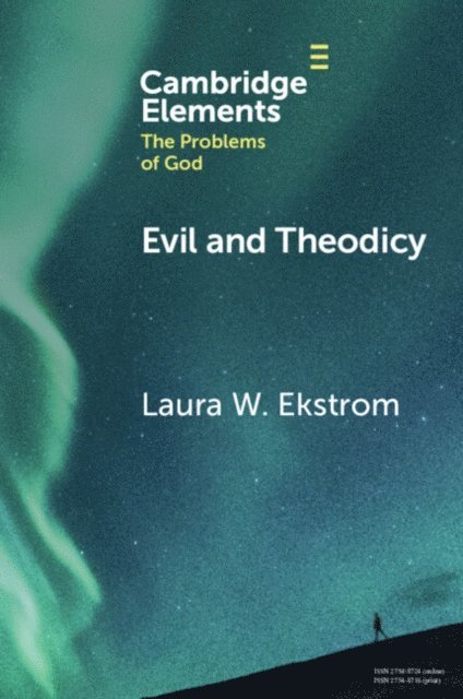 Laura W. Ekstrom - Evil and Theodicy, E-bok