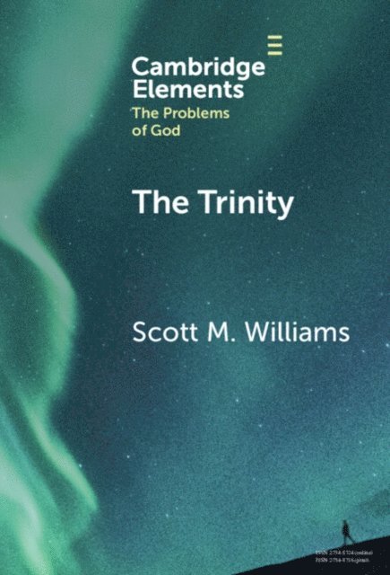 Scott M. Williams - Trinity, E-bok