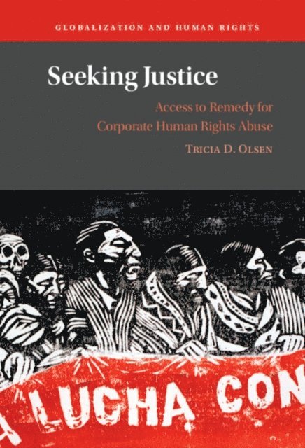 Tricia D. Olsen - Seeking Justice, E-bok