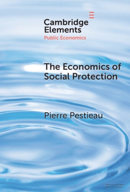 Pierre Pestieau - Economics of Social Protection, E-bok
