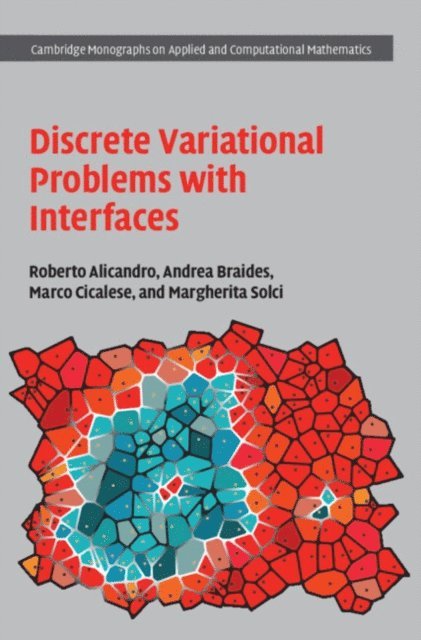 Margherita Solci, Marco Cicalese, Andrea Braides, Roberto Alicandro - Discrete Variational Problems with Interfaces, E-bok
