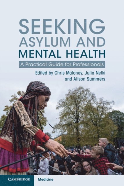 Alison Summers, Julia Nelki, Chris Maloney - Seeking Asylum and Mental Health, E-bok