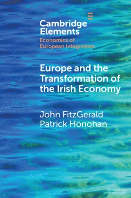Patrick Honohan, John FitzGerald - Europe and the Transformation of the Irish Economy, E-bok