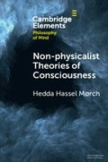 Non-physicalist Theories of Consciousness